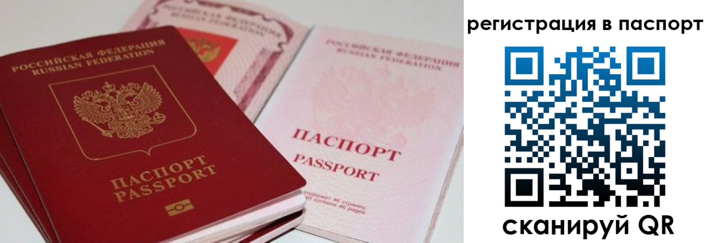 найти адрес прописки в Курганской области